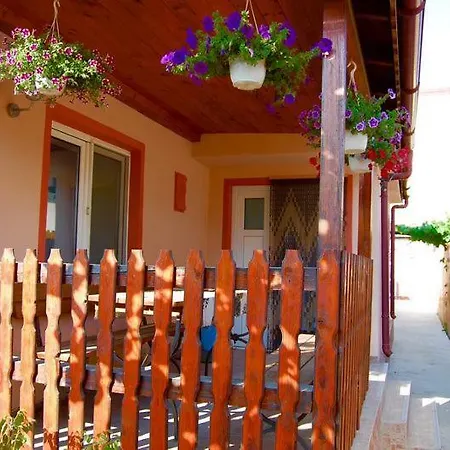 Проживання в сім'ї Casa Cu Castan *