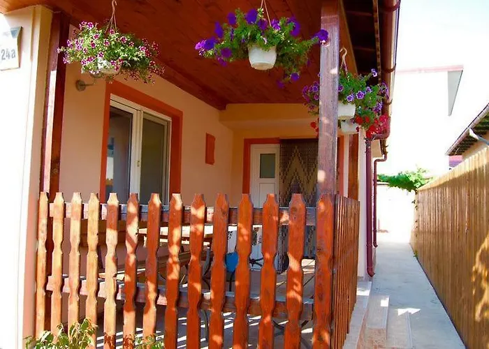 Homestay Casa Cu Castan *